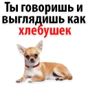 😂