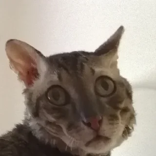😑
