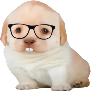 🤓