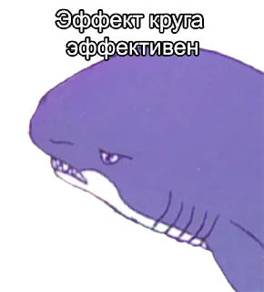 🦈