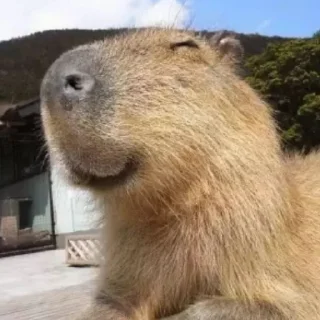 😌