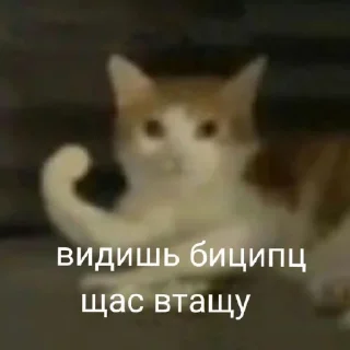 😠