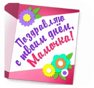 🌺