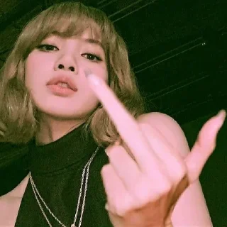🖕