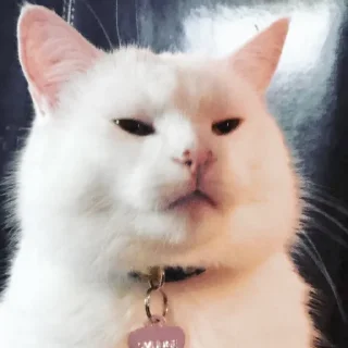 😖