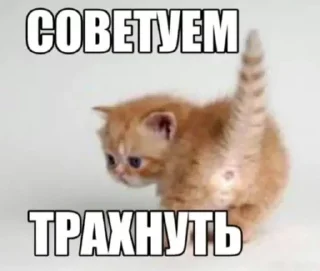 🔞