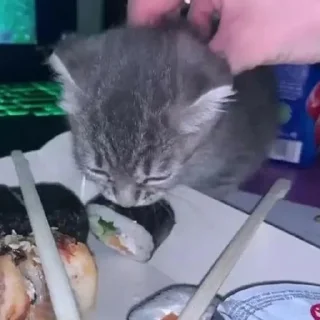 🍽