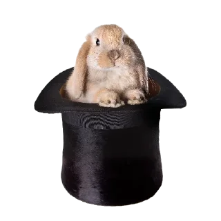 🎩