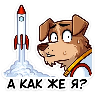 🚀