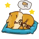 💤