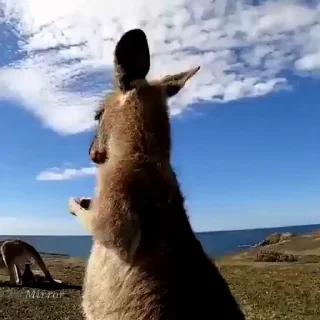 🥰