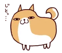 🐶