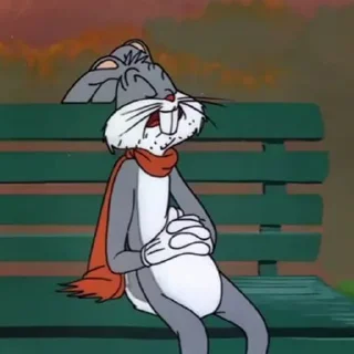 😴