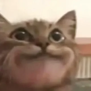 😏