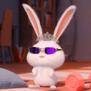 🤩