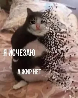 🫥