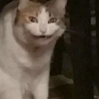 🤯
