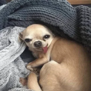 😋