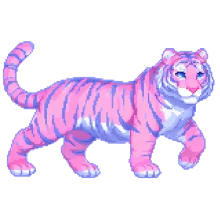🐯