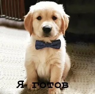 😌