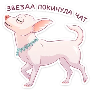 🌟