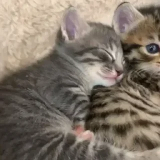 💗