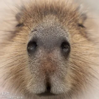 ☺