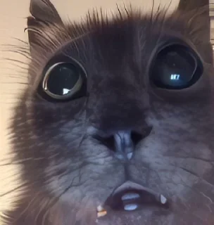 😨