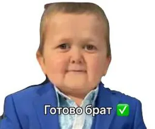 ✅