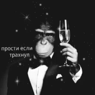 🍷