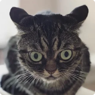😶