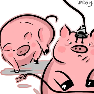 🐽
