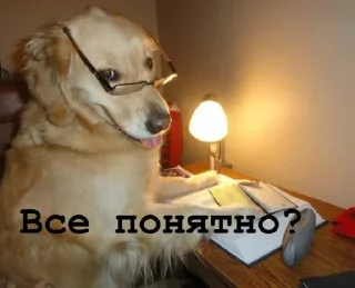 🤓
