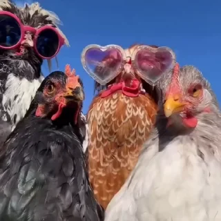 🥳