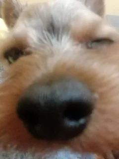 🌟