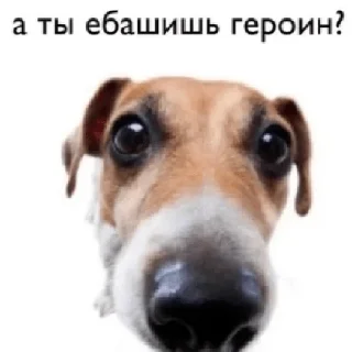 🧐