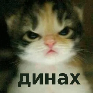 🖕