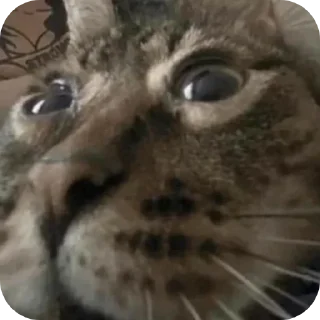 😨