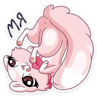 🐈