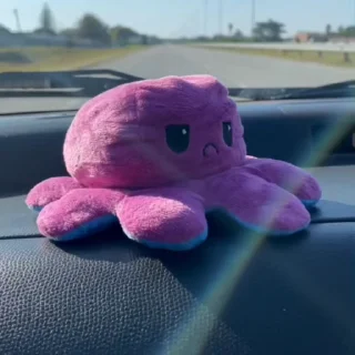 🐙
