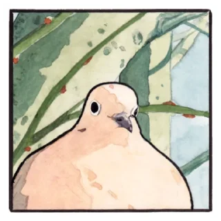 😠