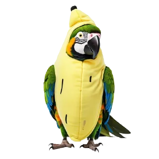 🦜