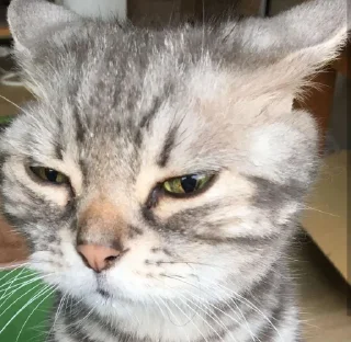 😑