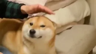 😀