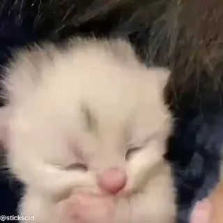 🙂‍↔️