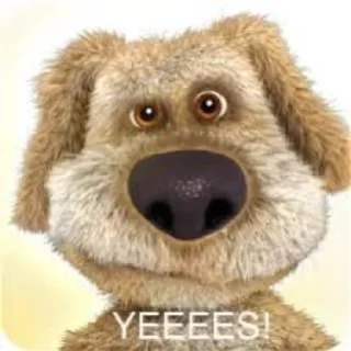 🐶