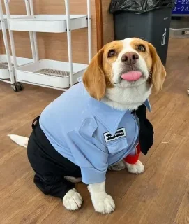 👮