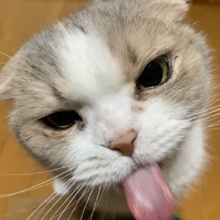 🤯