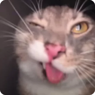 🥸
