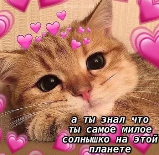 😴